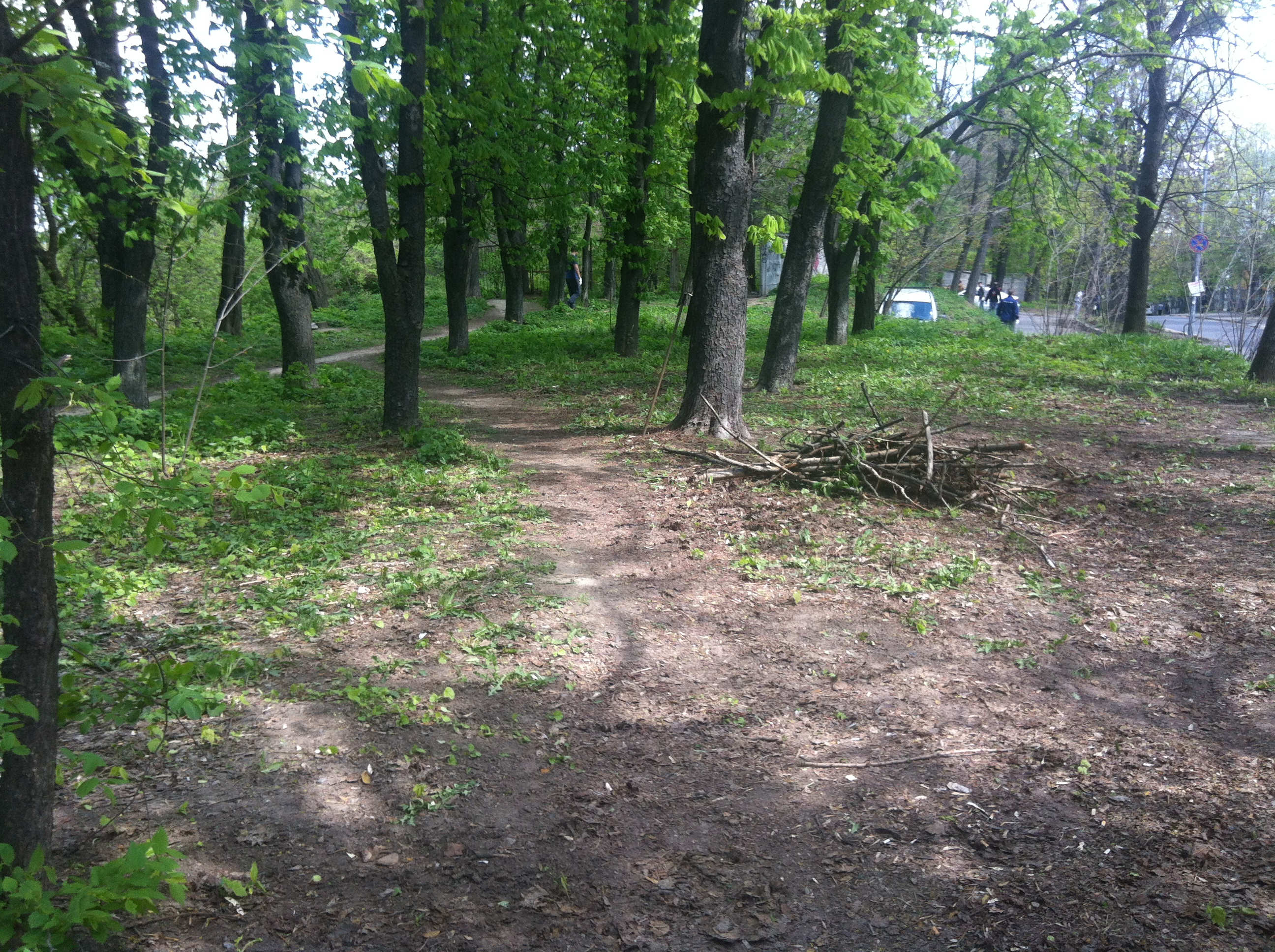 чистий парк на Амосова